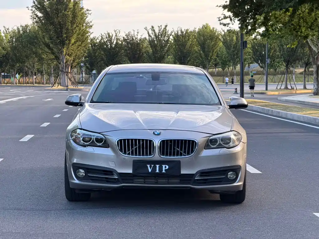 BMW 5 Series 2017 520Li Elegant купить на сайте DeffCars