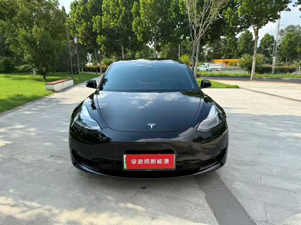 Model 3 2021 Standard Range Rear Drive Upgraded Version купить на сайте DeffCars