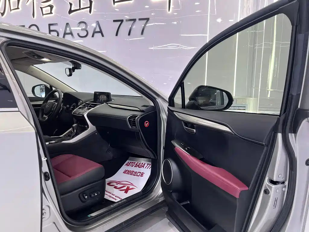 Lexus NX 2020 200 Pioneer Edition China VI купить на сайте DeffCars