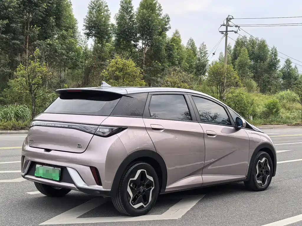 Dolphin 2021 405km Fashion Edition купить на сайте DeffCars