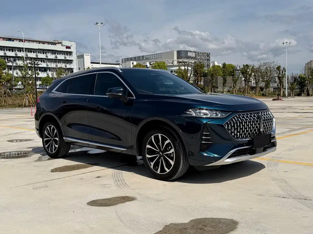 Wei brand Mocha 2021 2.0T two-wheel drive special version купить на сайте DeffCars