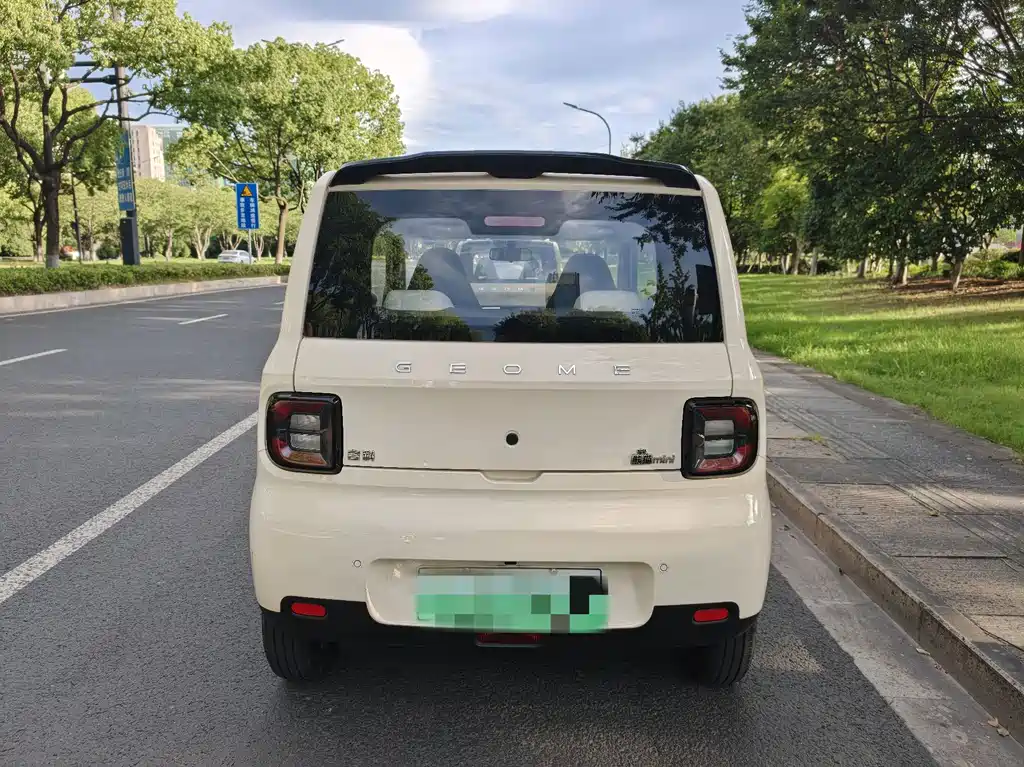 Panda (Geome) 2025 (Geome)mini 210km Yuan Qi Xiong купить на сайте DeffCars