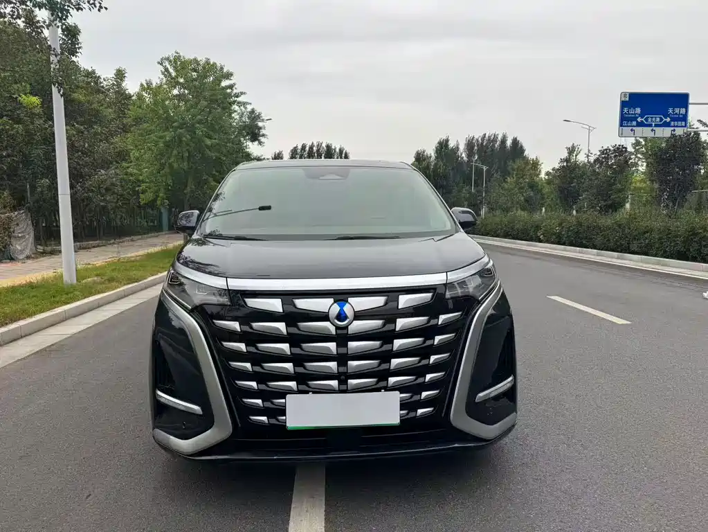 Denza D9 2022 DM-i 970 four-wheel drive flagship model купить на сайте DeffCars