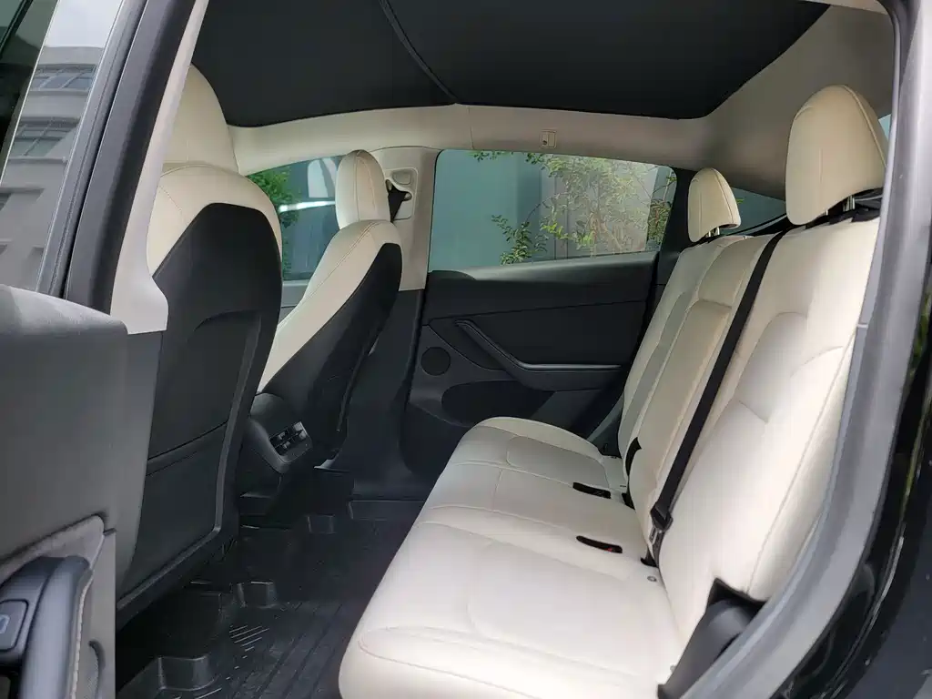 Model Y 2022 rear-wheel drive version купить на сайте DeffCars