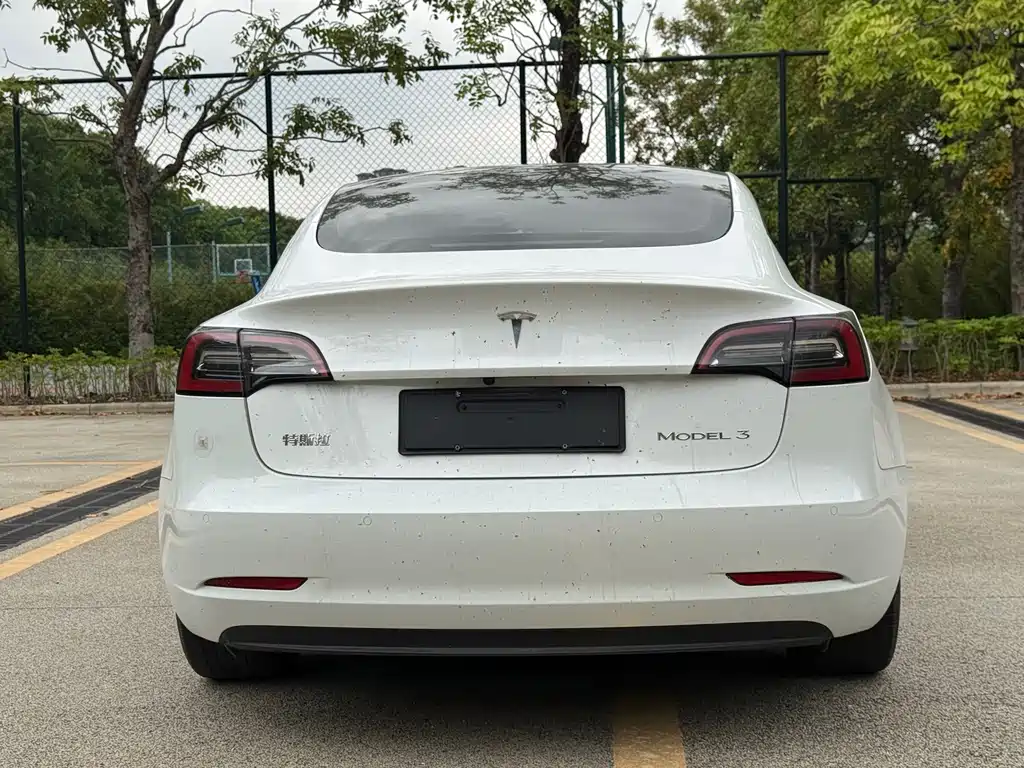 Model 3 2021 Standard Range Rear Drive Upgraded Version купить на сайте DeffCars