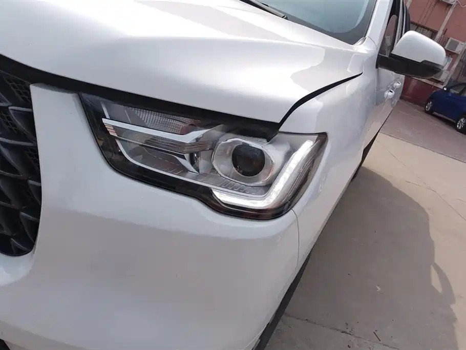 Cannon 2021 2.0T commercial version automatic diesel two-wheel drive elite long box GW4D20M купить на сайте DeffCars