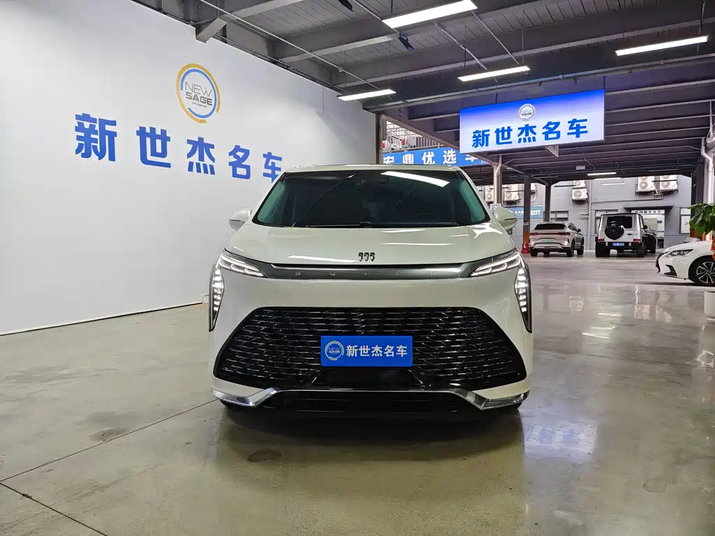 Century 2023 2.0T Six-seater Yuanshi Edition купить на сайте DeffCars