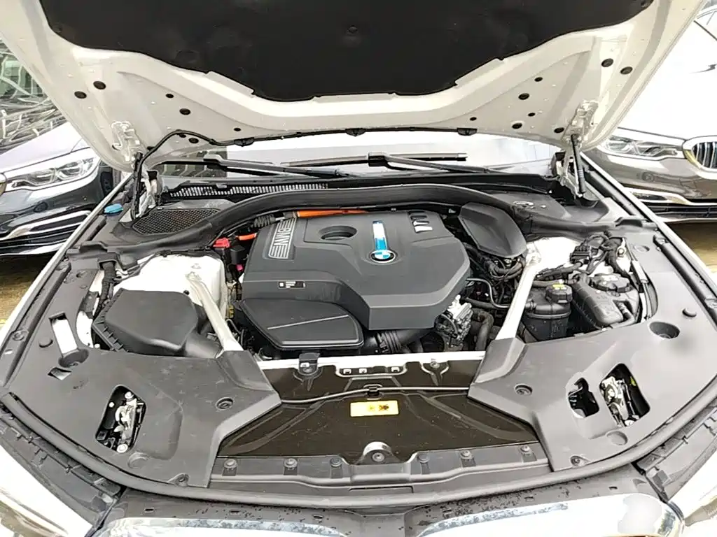 BMW 5 Series New Energy 2020 Mileage Upgraded Version 530Le Luxury Package купить на сайте DeffCars