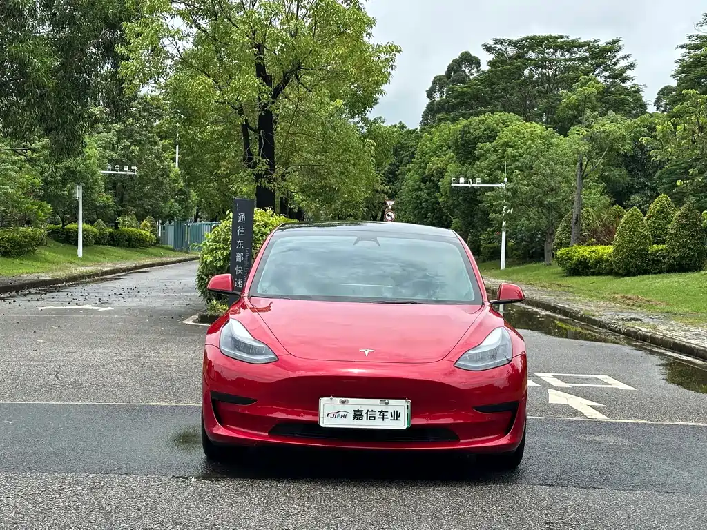 Model 3 2021 Standard Range Rear Drive Upgraded 3D6 купить на сайте DeffCars