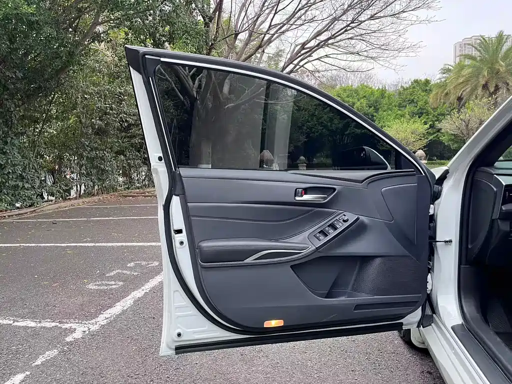 Asia Dragon 2019 2.0L Deluxe Edition National VI купить на сайте DeffCars