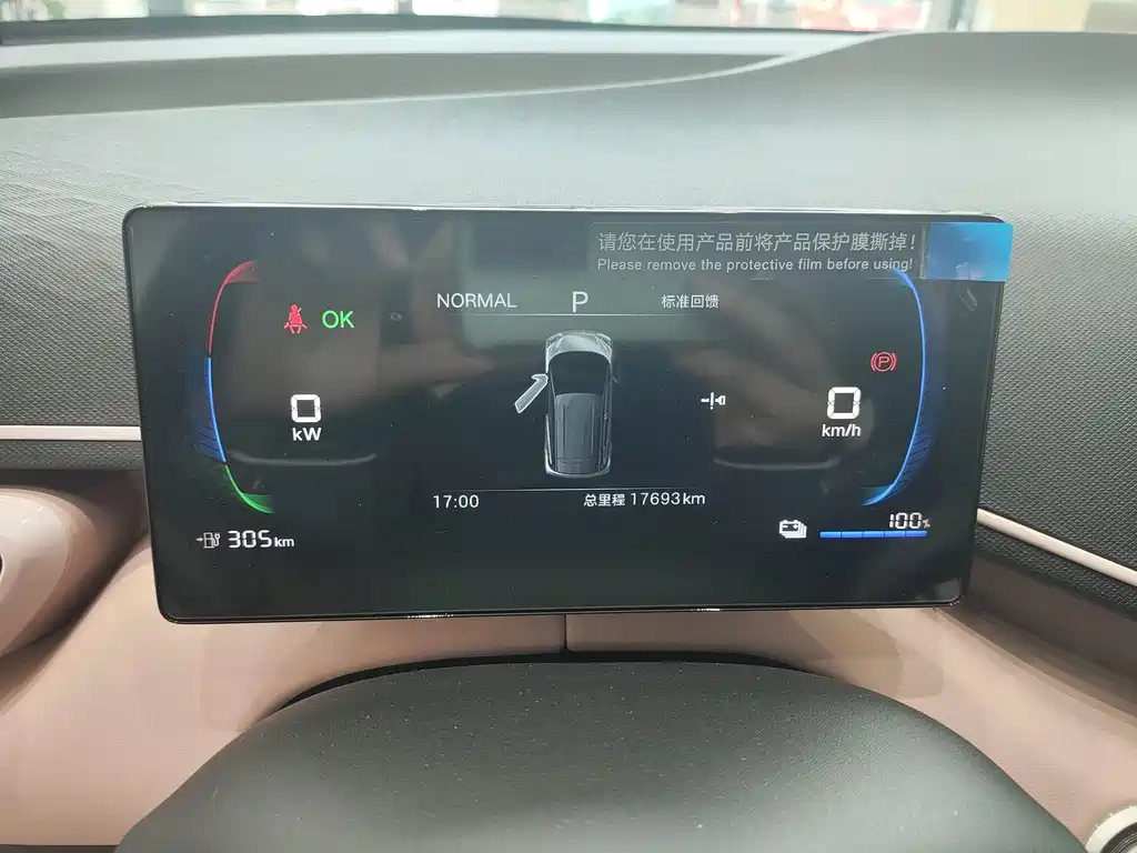 Seagull 2025 model 305km free version купить на сайте DeffCars