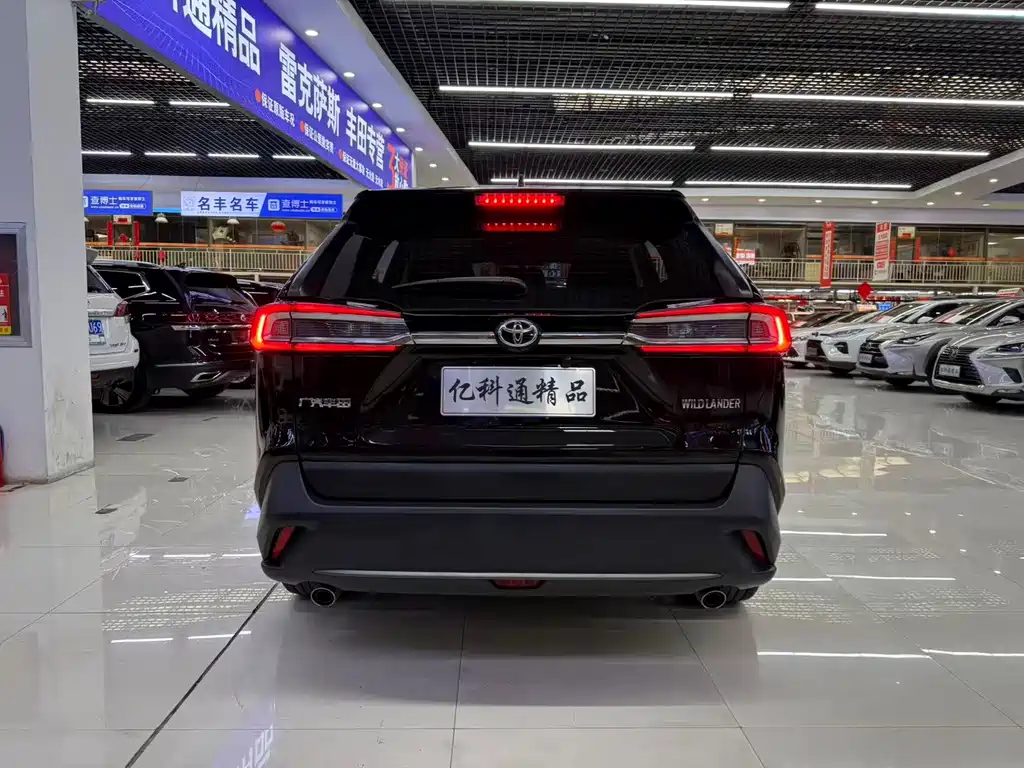 Wilanda 2023 2.0L CVT two-wheel drive leading version купить на сайте DeffCars