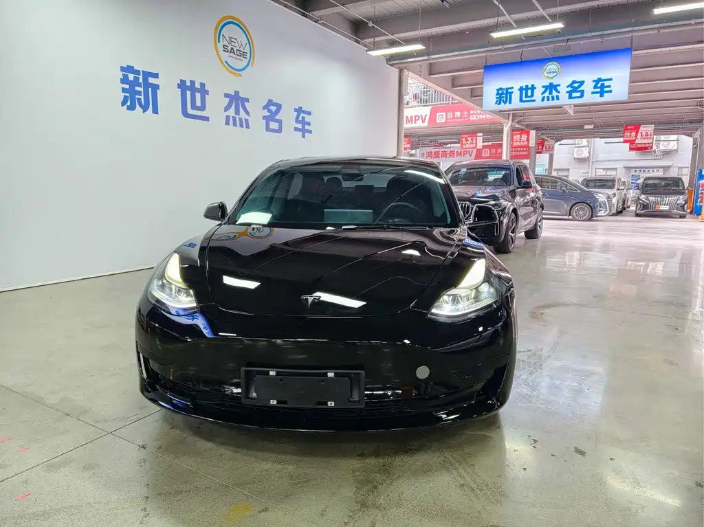 Model 3 2021 Standard Range Rear Drive Upgraded Version купить на сайте DeffCars