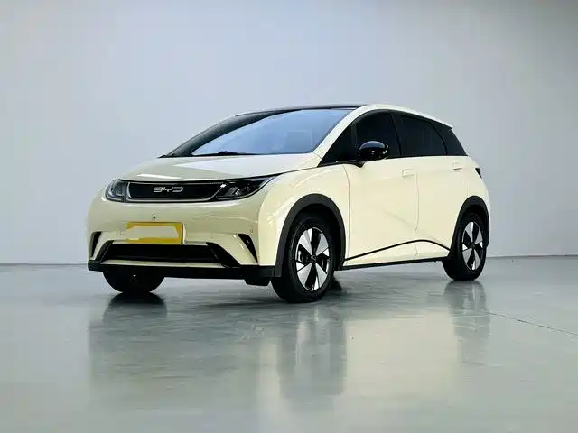 Dolphin 2023 420km fashion version купить на сайте DeffCars