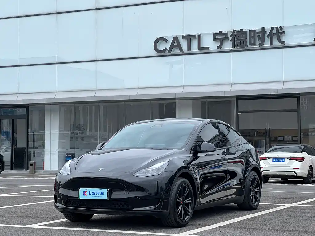 Model Y 2024 rear-wheel drive version купить на сайте DeffCars