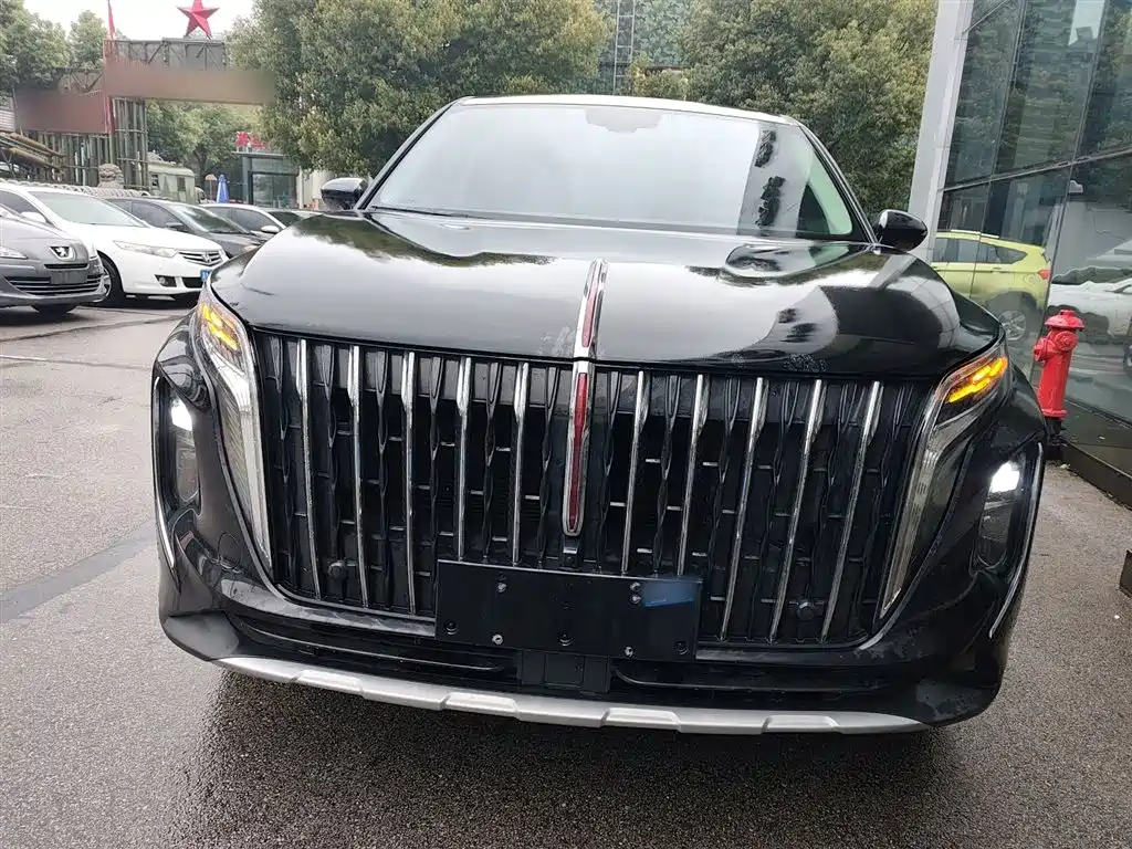 Hongqi HS7 2024 2.0T automatic two-wheel drive Qiyue version, five seats купить на сайте DeffCars