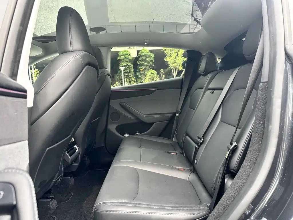Model Y 2025 rear-wheel drive version купить на сайте DeffCars