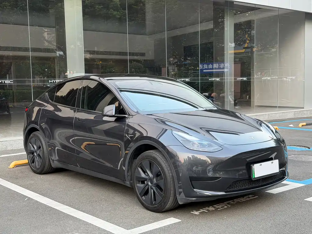 Model Y 2024 rear-wheel drive version купить на сайте DeffCars
