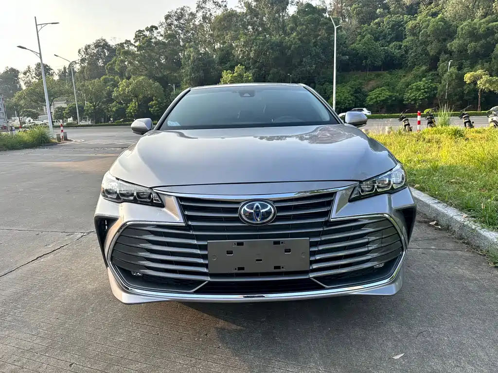 Asia Dragon 2019 Shuangqing 2.5L Deluxe Edition National V купить на сайте DeffCars