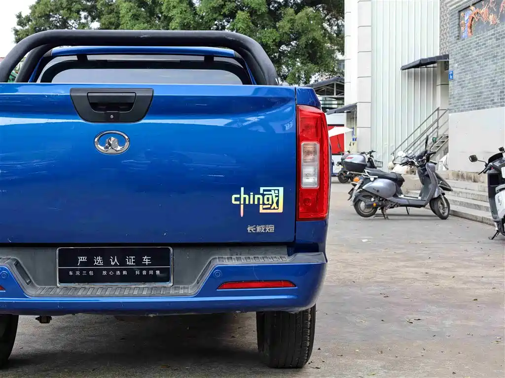 Cannon 2021 2.0T commercial version automatic diesel two-wheel drive elite long box GW4D20M купить на сайте DeffCars