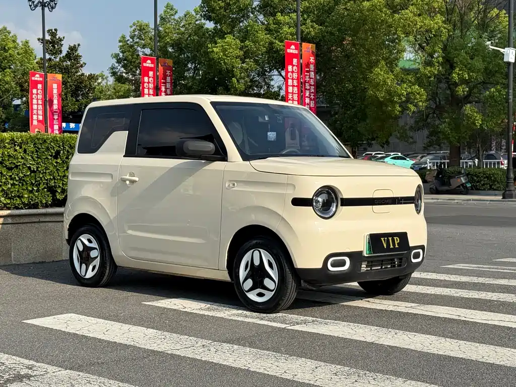 Panda 2025 Panda mini 210km Yuanqi Bear купить на сайте DeffCars