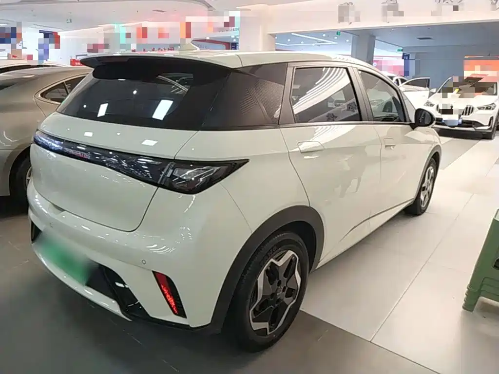 Dolphin 2021 405km Fashion Edition купить на сайте DeffCars