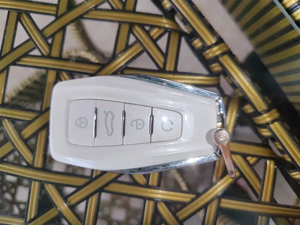 Xingrui 2021 facelift 2.0TD premium model купить на сайте DeffCars