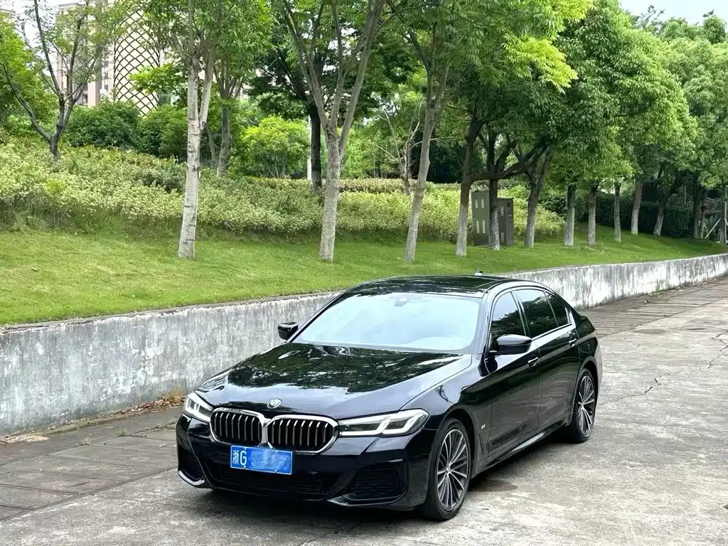 BMW 5 Series 2021 530Li Leading Luxury Package купить на сайте DeffCars