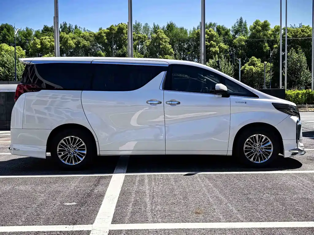 Alfa 2019 Dual Engine 2.5L Deluxe Edition купить на сайте DeffCars