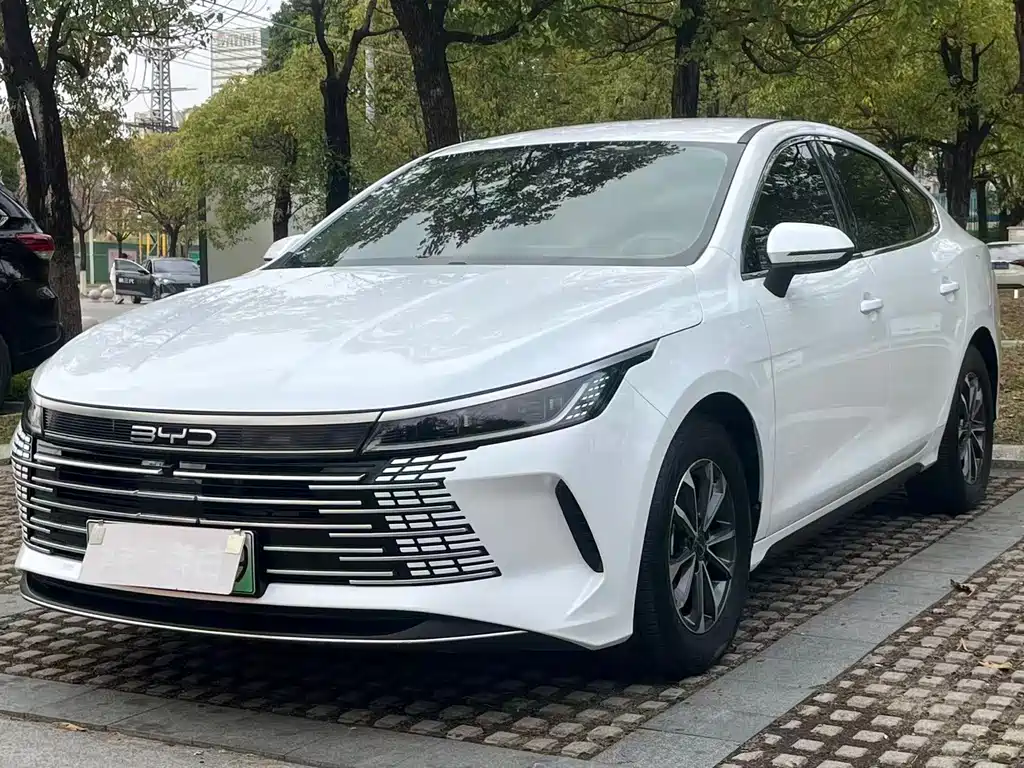 Destroyer 05 2024款 荣耀版 DM-i 55KM 豪华型 купить на сайте DeffCars