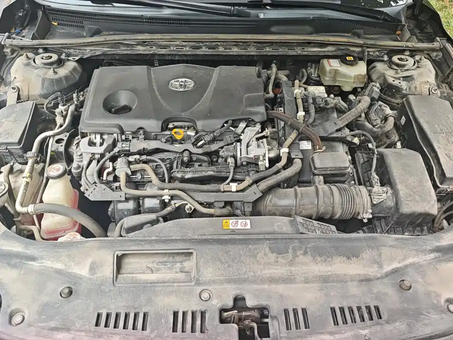 Asia Dragon 2019 Shuangqing 2.5L XLE Premium Edition National VI купить на сайте DeffCars