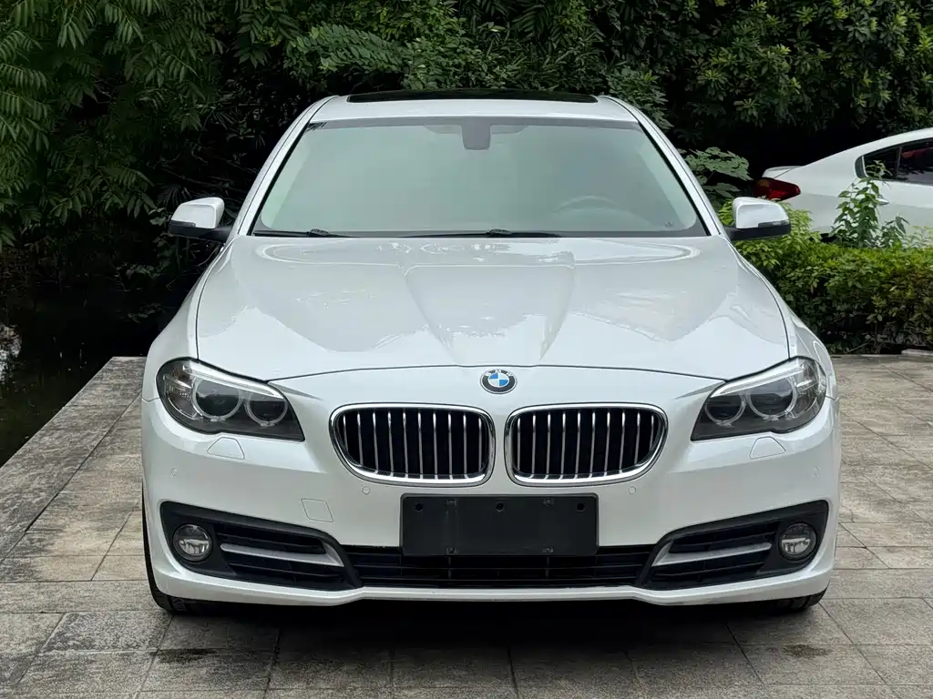 BMW 5 Series 2017 525Li Leading Model купить на сайте DeffCars