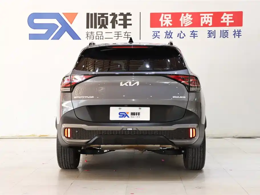Lion Platinum Extension 2023 2.0T two-wheel drive premium version купить на сайте DeffCars