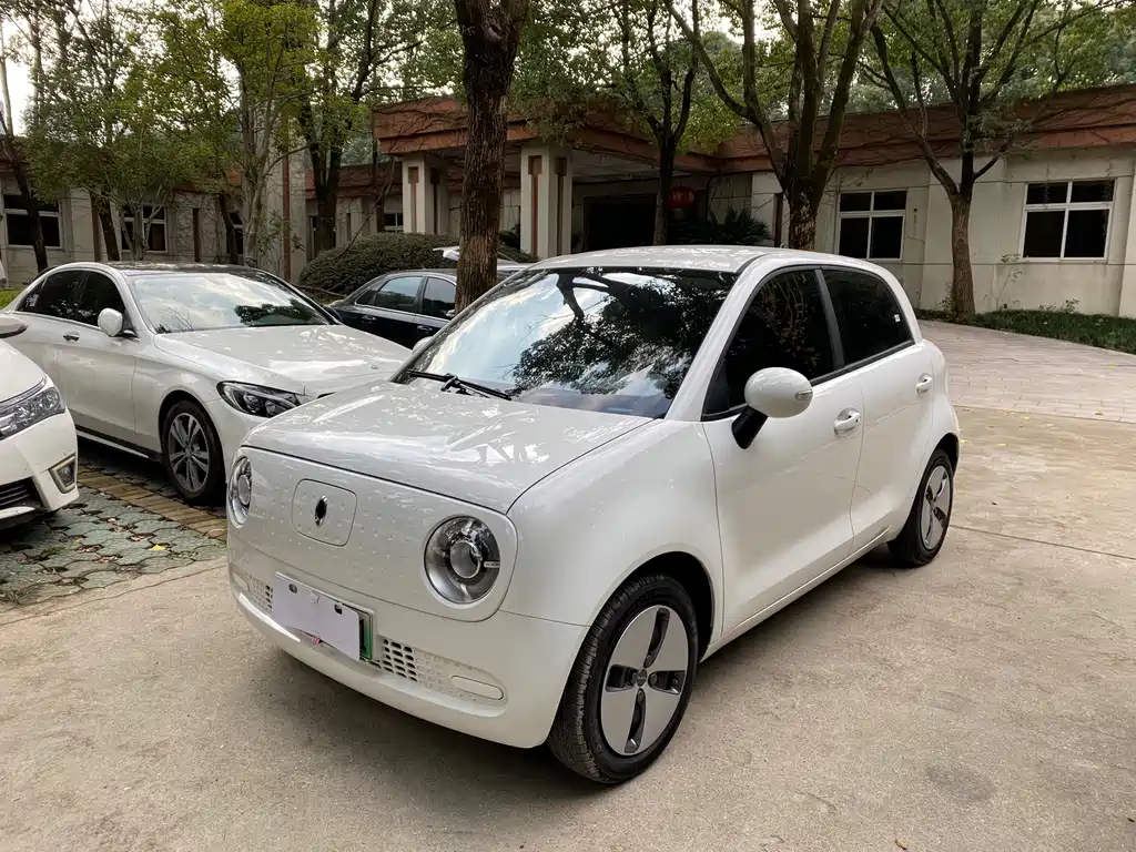 Euler Black Cat 2019 301km Standard Edition купить на сайте DeffCars