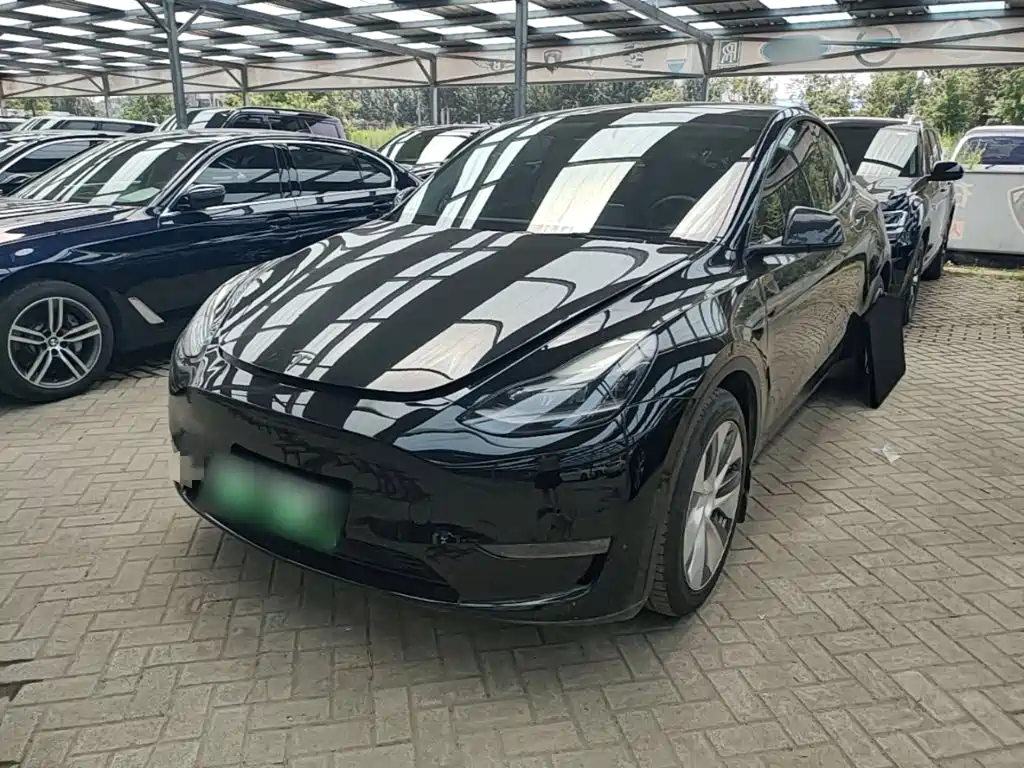 Model Y 2021 standard range rear-wheel drive version купить на сайте DeffCars