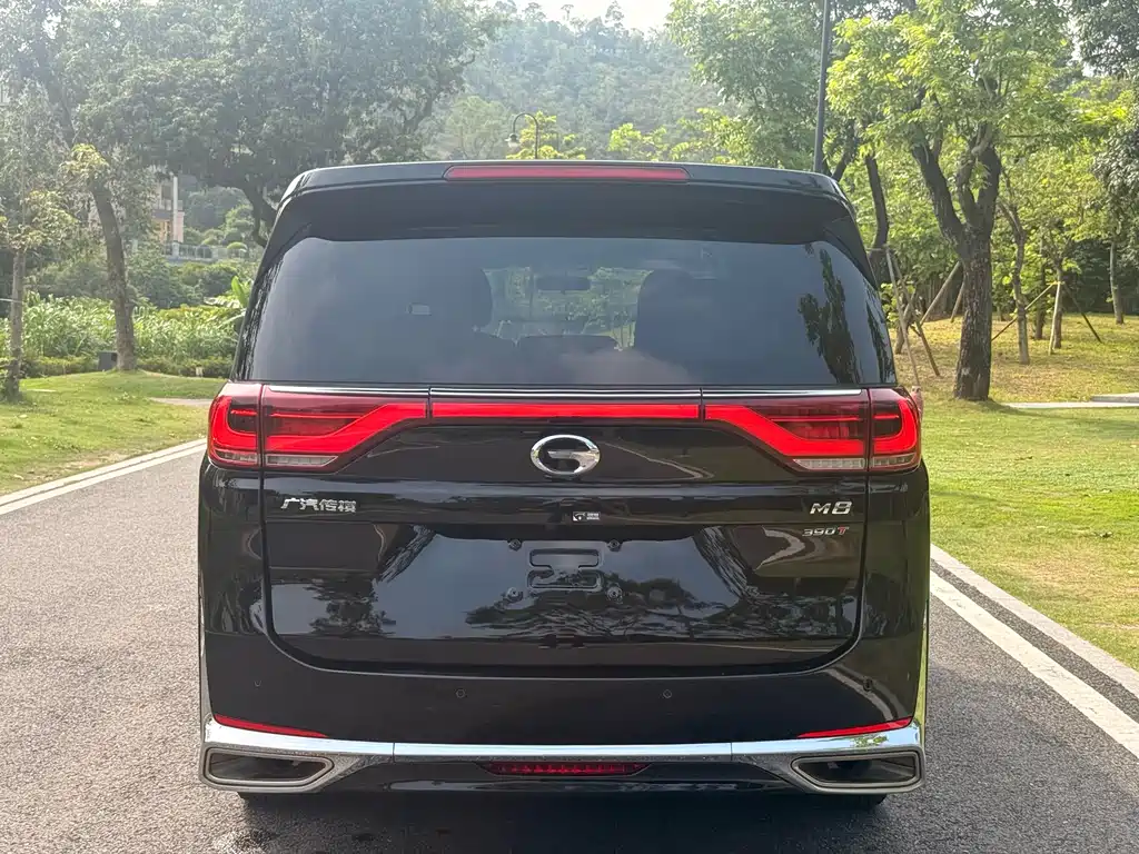 Trumpchi M8 2023 Lead Show Series 390T Exclusive Edition купить на сайте DeffCars