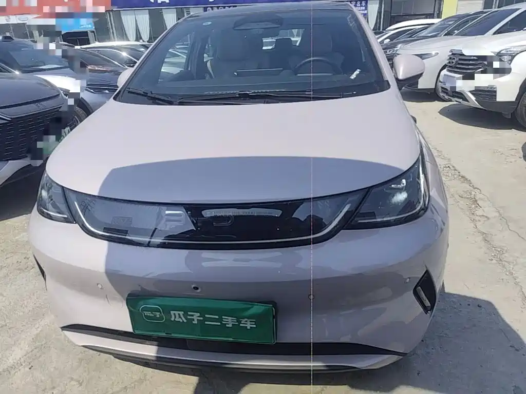 Dolphin 2025 Smart Driving Edition 520km Rider Edition купить на сайте DeffCars