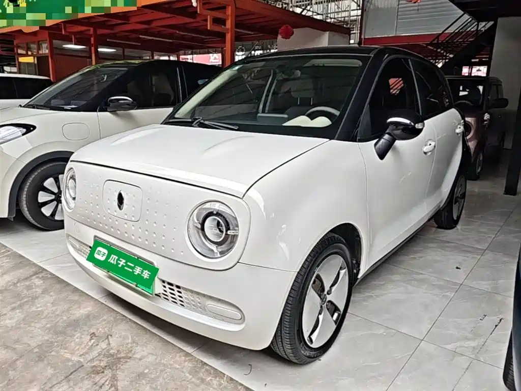 Euler Black Cat 2019 301km Standard Edition купить на сайте DeffCars