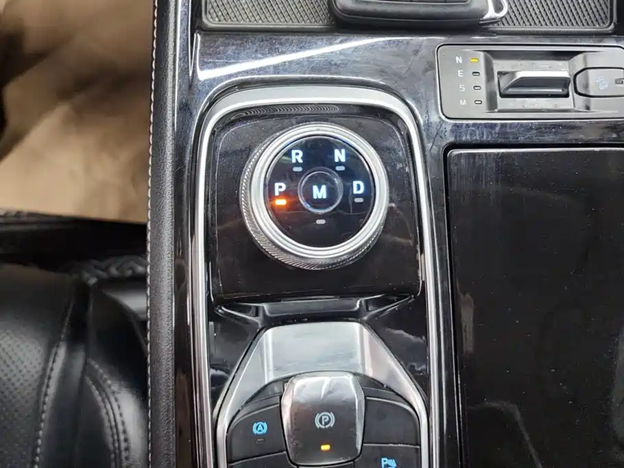 Lingyu 2021 EcoBoost 225 platinum collar type 6 seats купить на сайте DeffCars