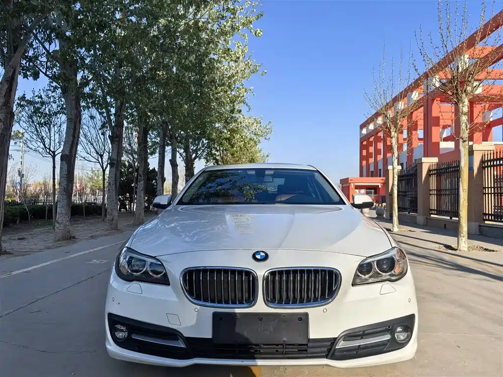 BMW 5 Series 2017 520Li Elegant купить на сайте DeffCars