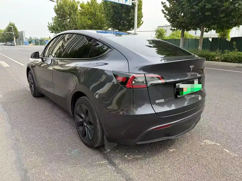 Model Y 2024 rear-wheel drive version купить на сайте DeffCars