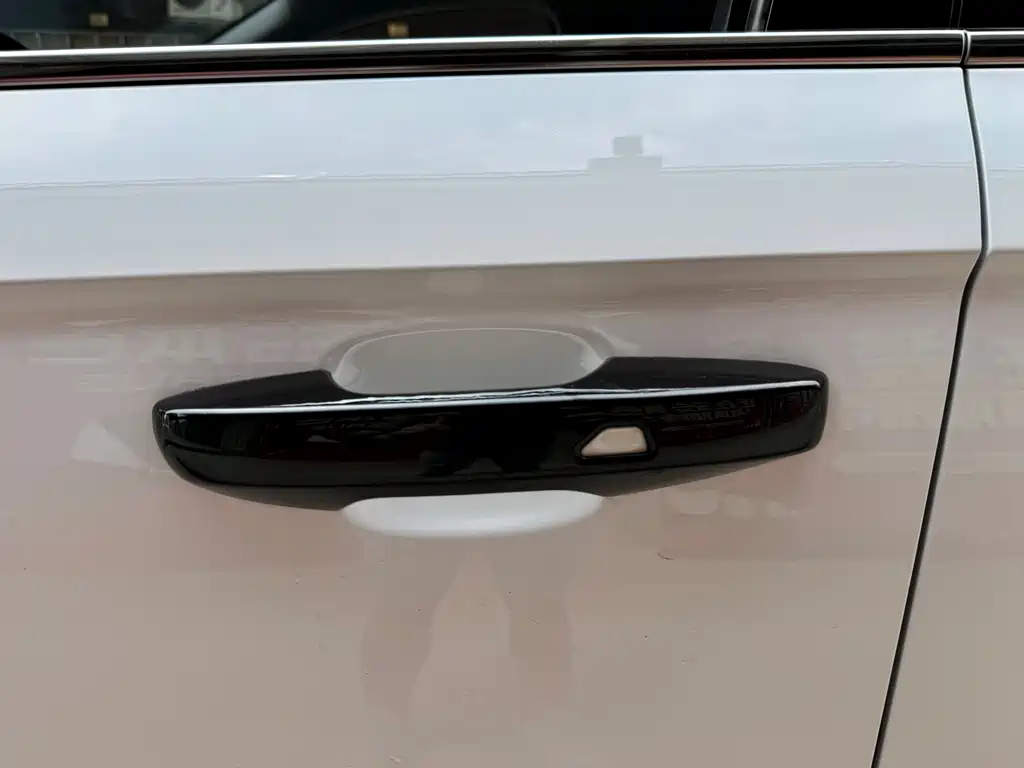Xingrui 2021 facelift 2.0TD premium model купить на сайте DeffCars