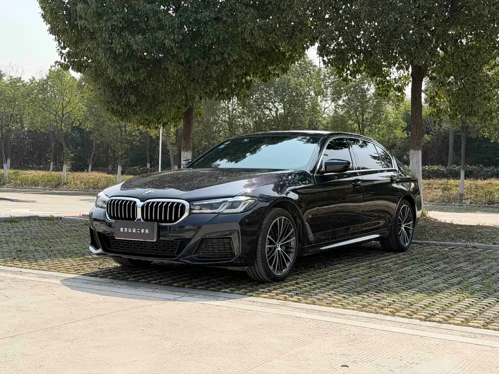 BMW 5 Series 2021 530Li Leading M Sports Package купить на сайте DeffCars