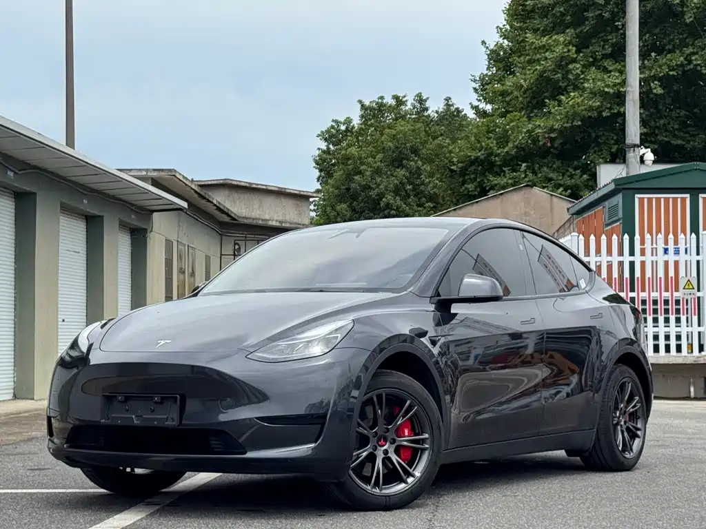 Model Y 2024 rear-wheel drive version купить на сайте DeffCars