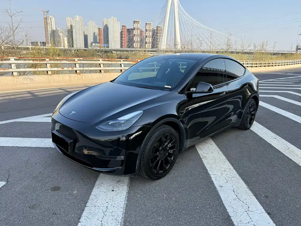 Model Y 2021 standard range rear-wheel drive version купить на сайте DeffCars