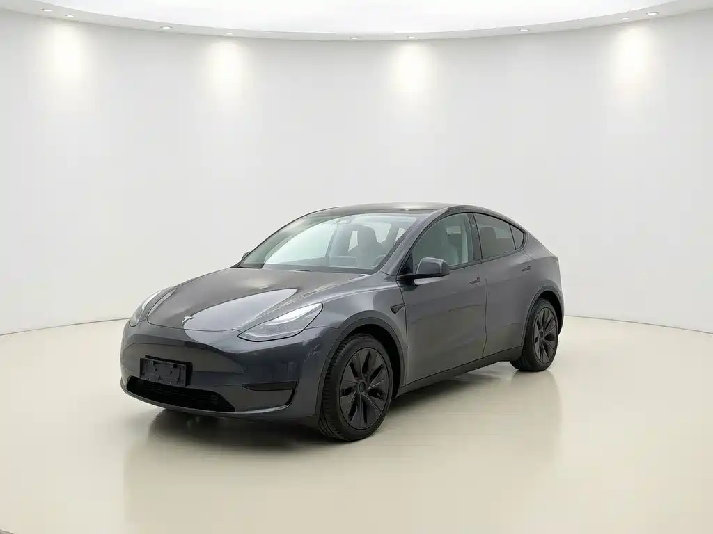 Model Y 2024 rear-wheel drive version купить на сайте DeffCars