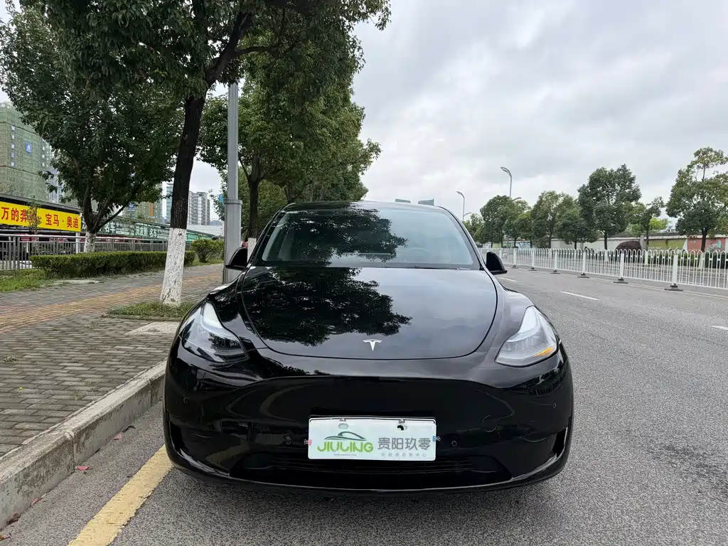 Model Y 2022 rear-wheel drive version купить на сайте DeffCars