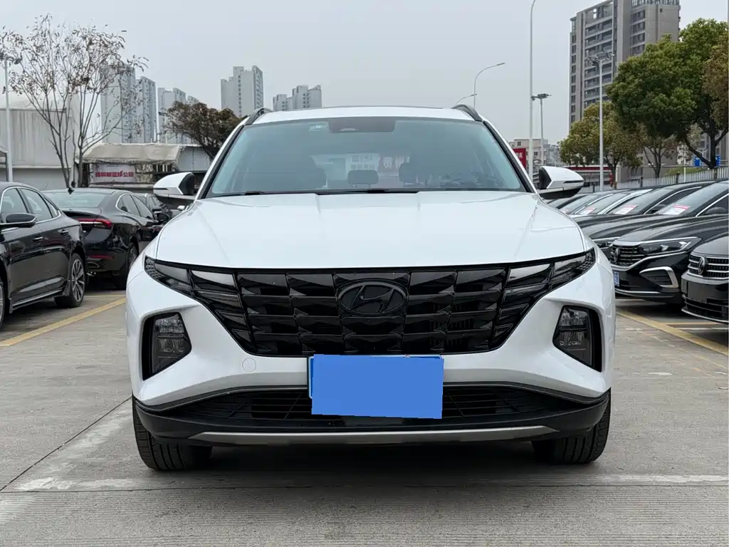 Tucson 2021 Tucson L 1.5T DCT LUX Premium Edition купить на сайте DeffCars