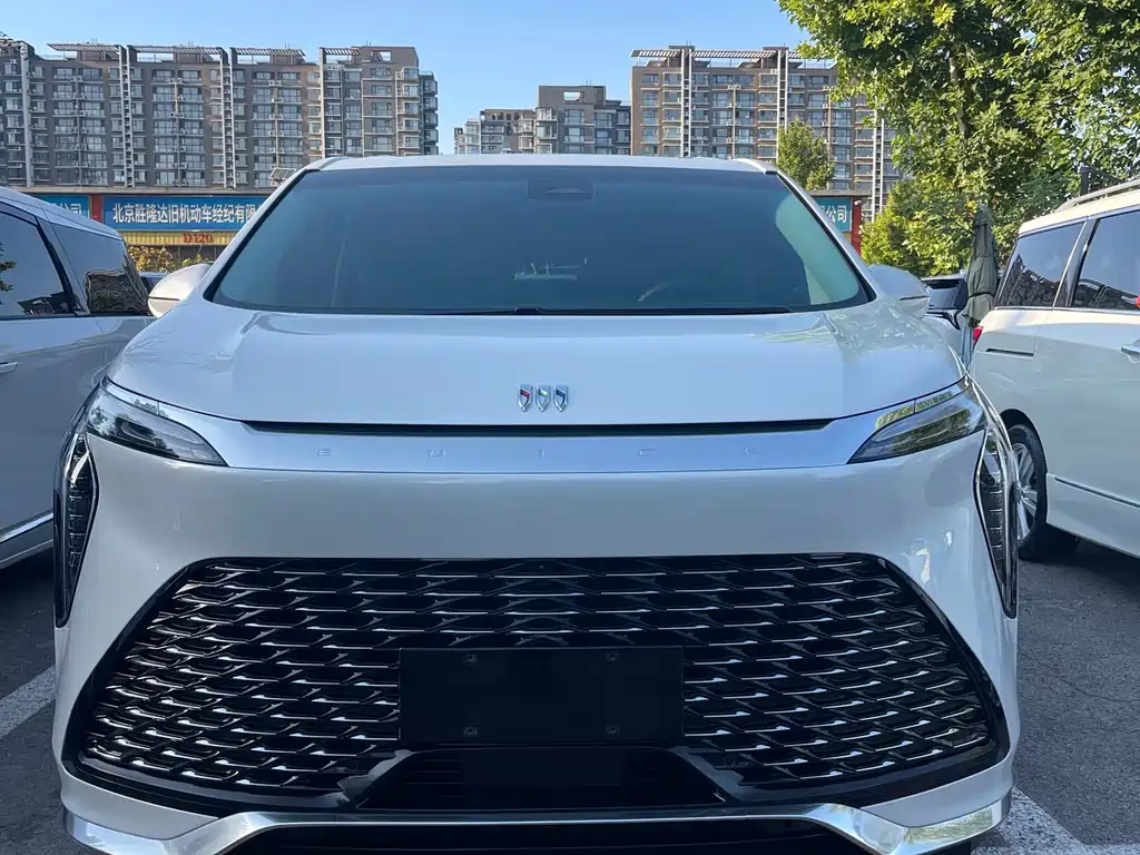 Century 2025 2.0T Six-seater Yuanshi Edition купить на сайте DeffCars