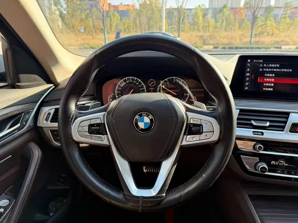 BMW 5 Series 2019 530Li Leading Luxury Package купить на сайте DeffCars